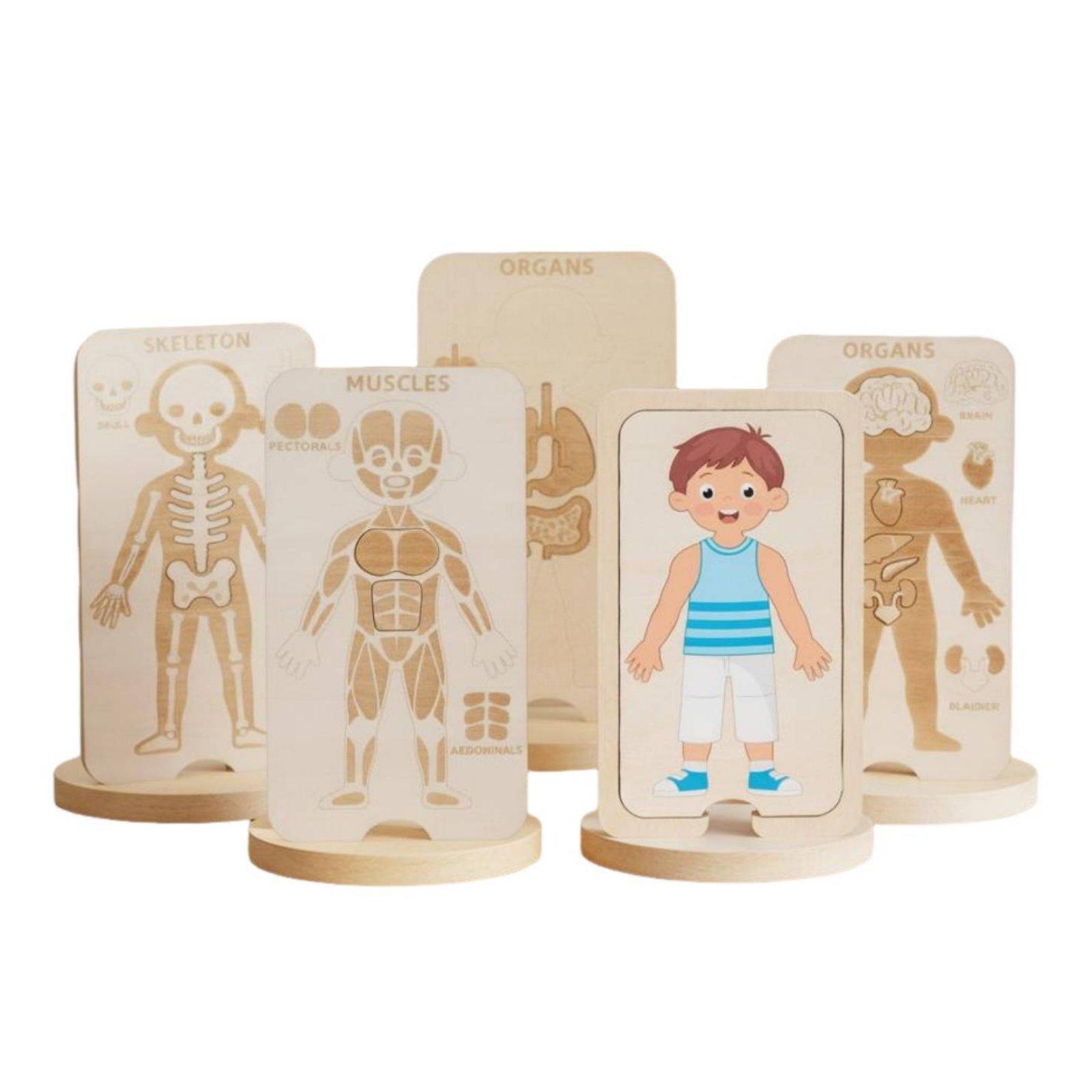 Human Body Puzzle - Детский образовательный деревянный пазл: игрушка для