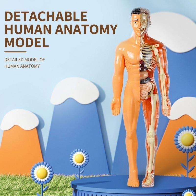 Human Body Puzzle - Набор для научных экспериментов: Сделай сам