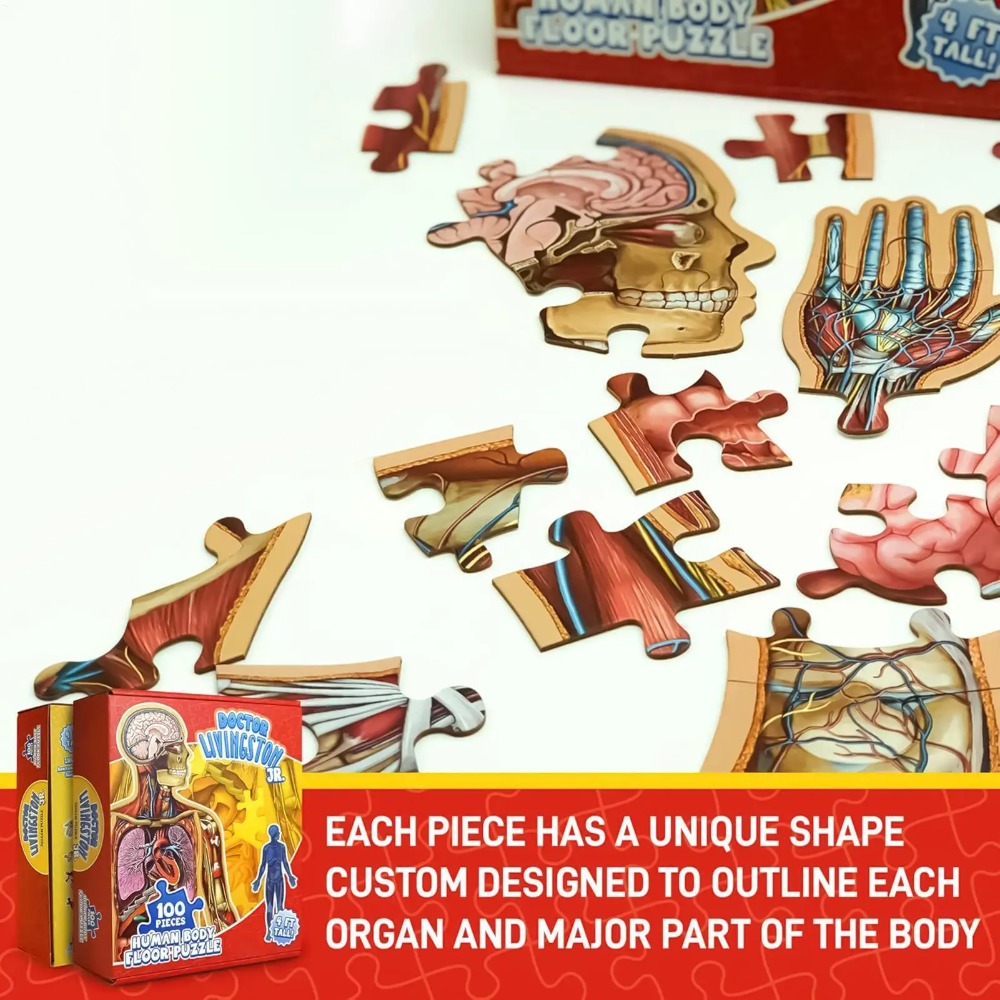 Набор из 100 деталей: Пазл «Ан – обзор и цена Human Body Puzzle