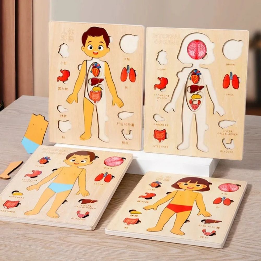 НОВАЯ развивающая доска Монтес – обзор и цена Human Body Puzzle